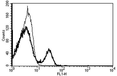 Mouse Anti-CD40 Antibody