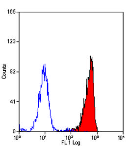 RAT ANTI MOUSE CD88 Antibody