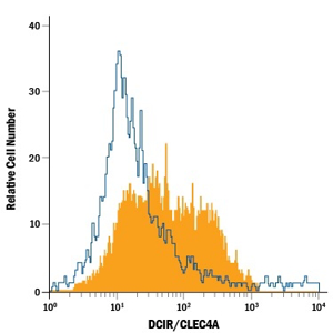 Rat Anti-DCIR Antibody