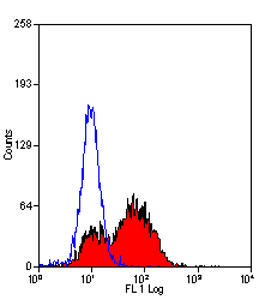 RAT ANTI MOUSE CD86:RPE Antibody