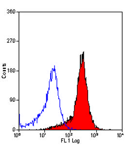 MOUSE ANTI HUMAN CD138 Antibody