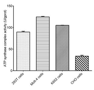 Cell Mitochondrial Complex V (F0F1-ATPase/ATP Synthase) Activity Assay Kit