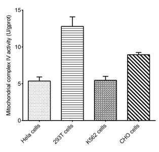Cell Mitochondrial Complex IV (Cytochrome C Oxidase) Activity Assay Kit