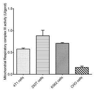 Cell Mitochondrial Complex III (Coenzyme Q-Cytochrome C Reductase) Activity Assay Kit