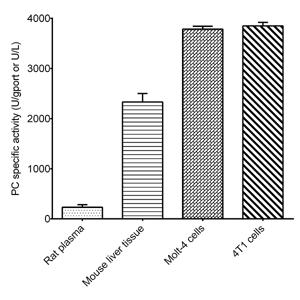 Pyruvate Carboxylase (PC) Activity Assay Kit