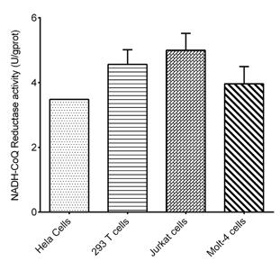 Cell Mitochondrial Complex I (NADH-CoQ Reductase) Activity Assay Kit