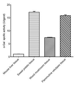 alpha-Galactosidase (alpha-Gal) Acitivity Assay Kit