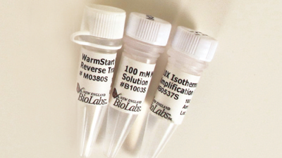 WarmStart RTx Reverse Transcriptase