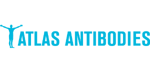Atlas Antibodies