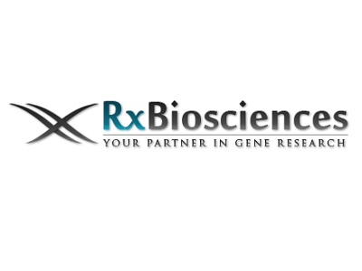 cdna library construction services biocompare com cdna library
