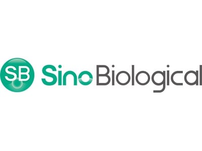 SPR/BLI Biomolecular Interaction Analysis Services from Sino Biological, Inc.