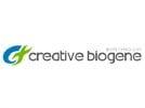 MicroRNA Agomir/ Antagomir Synthesis Service from Creative Biogene